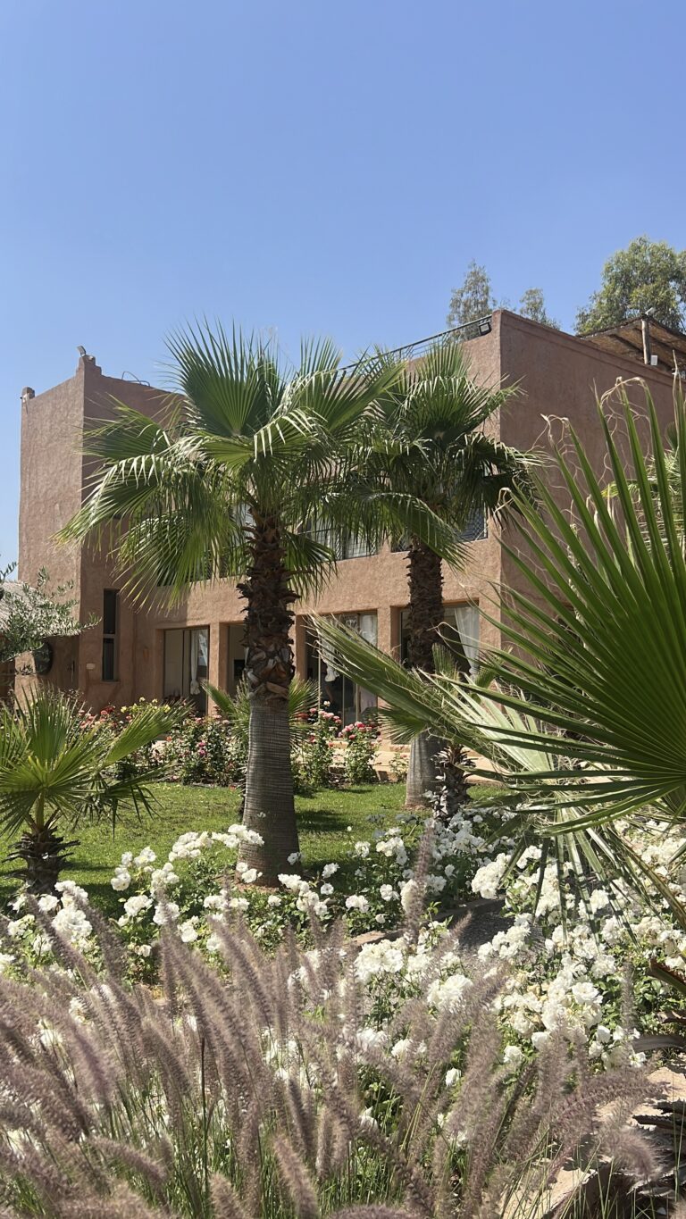 Photo Retraite thérapeutique à Marrakech Du 7 au 11 novembre 2025 – 5 jours pour se recentrer, guérir, et renaître